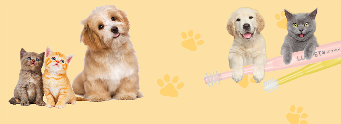 LUXPET special toothbrush for Pet